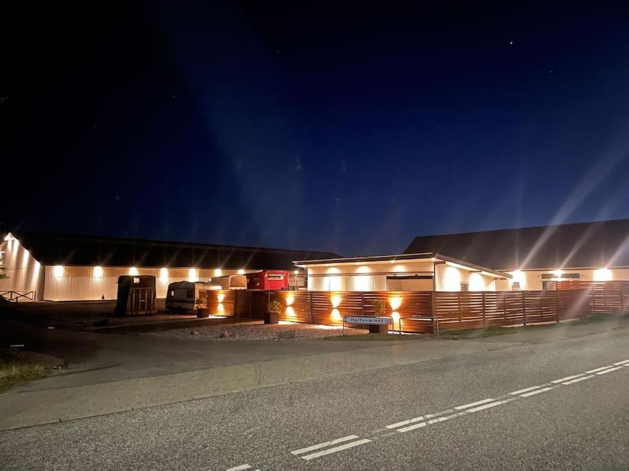 Stor Rummelig Lejlighed Med Egen P-Plads Kolding Luaran gambar
